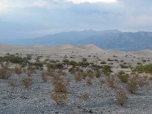 sand-dunes-in-death-valley---2.jpg