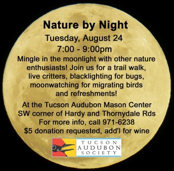 Nature by Night