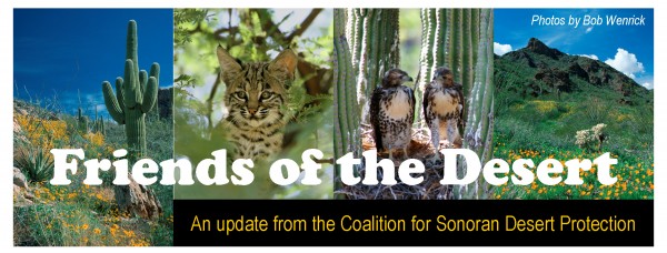 Coalition for Sonoran Desert  Protection