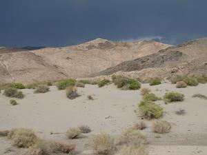 raining-in-owens-valley---tuesday.jpg