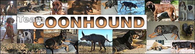 team-coonhound_banner.jpg