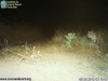 2012-09-30-03-18-04