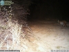 2013-10-11-02-50-33