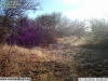 2013-01-12-16-25-30