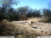 2013-01-16-12-10-04