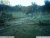 2013-02-01-07-39-56