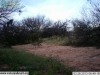 2013-03-26-06-49-19-jpg