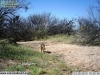 2013-03-29-10-20-38-jpg