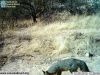 2012-12-29-12-28-12