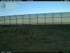 Copy-of-IMG_0255