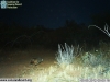 2012-05-05-05-00-21