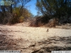 2012-06-13-11-05-05