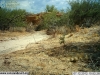 2012-07-12-15-52-31