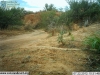 2012-07-22-10-31-52