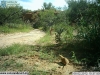 2012-08-02-15-37-54