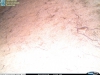 2015 04 15 04 06 57