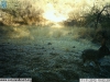 2012-11-11-15-52-25