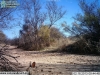 2013-02-18-09-44-53