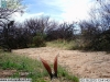 2013-03-16-13-41-45