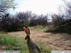 2013-03-20-15-55-52