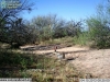2013-04-10-08-25-02-jpg