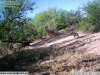 2013-04-22-08-11-53-jpg