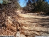2013-11-06-09-48-45