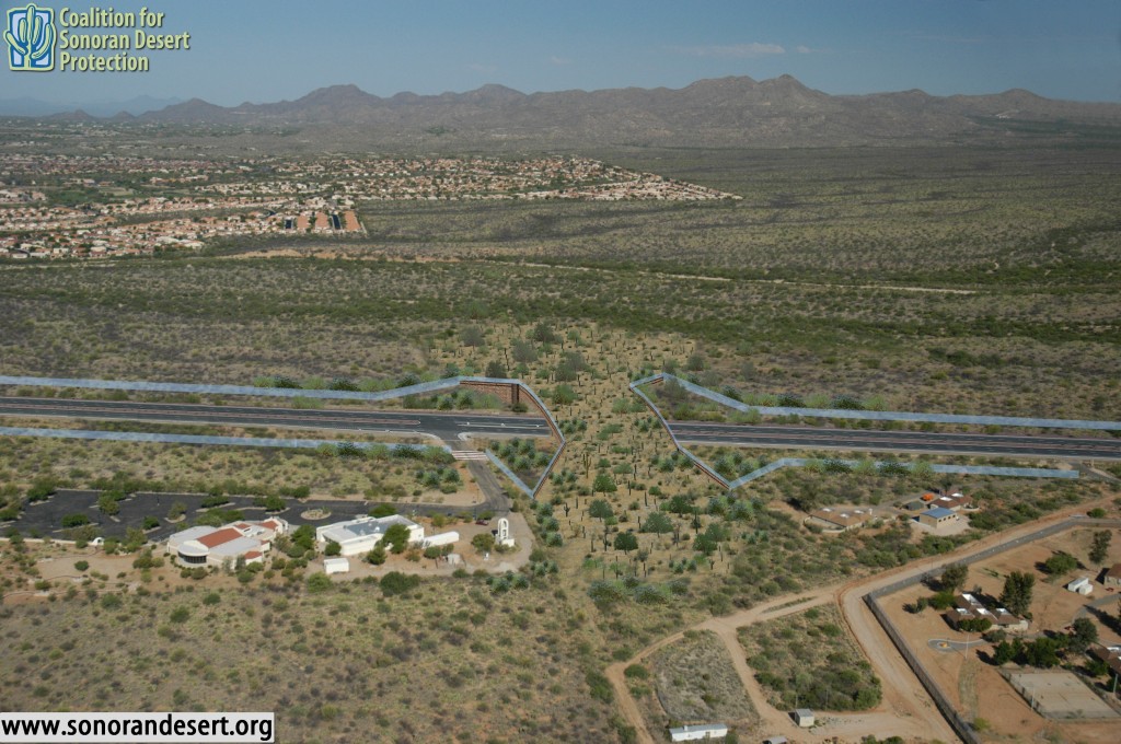 A rendition of the vegetated wildlife bridge. 