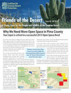 Pages from CSDP 14#46 news web
