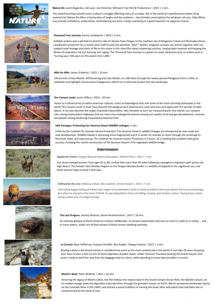 WSFF-page-001