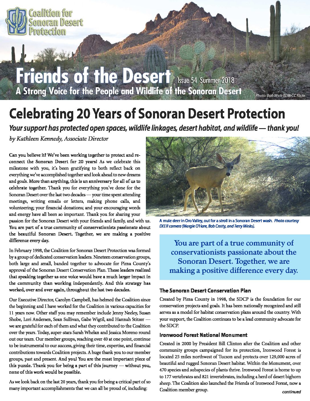 Preview image for document.
