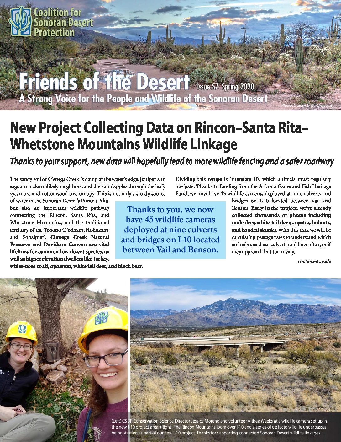Preview image for document.