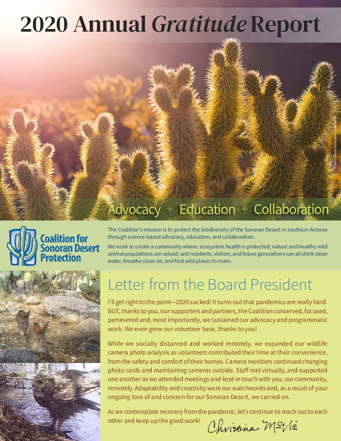 2020 Annual Report webfinal