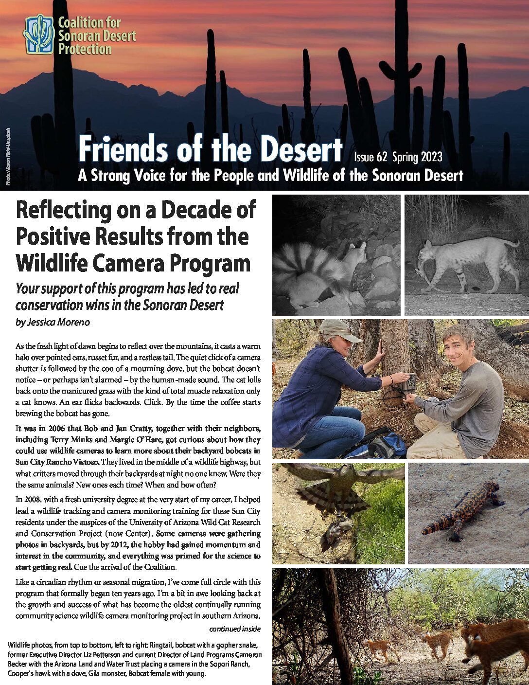 Preview image for document.