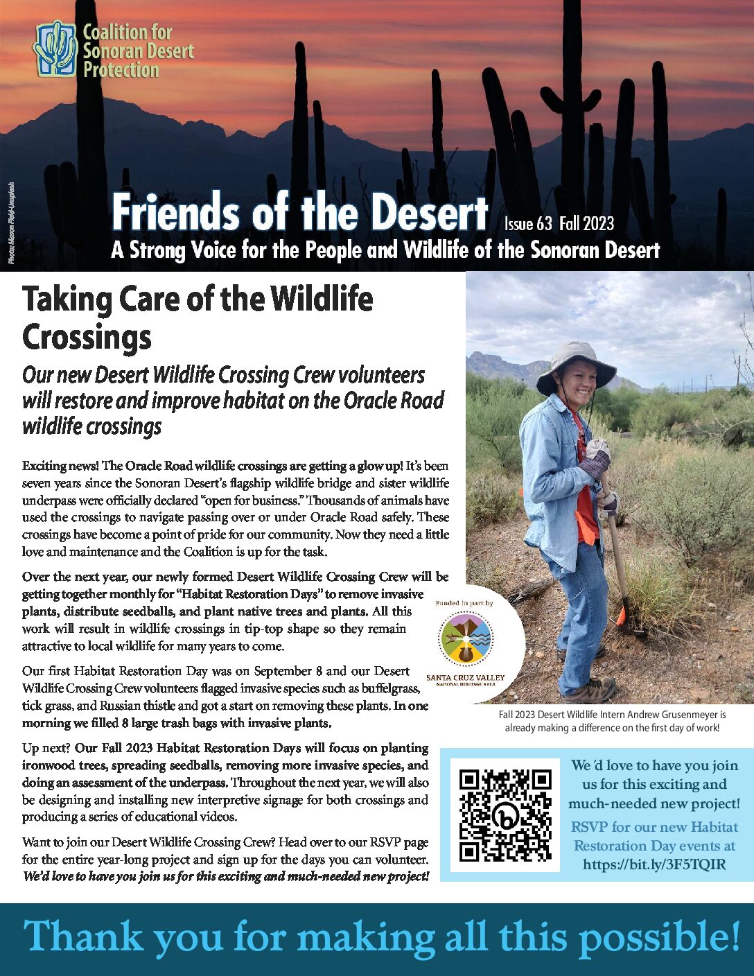 Preview image for document.