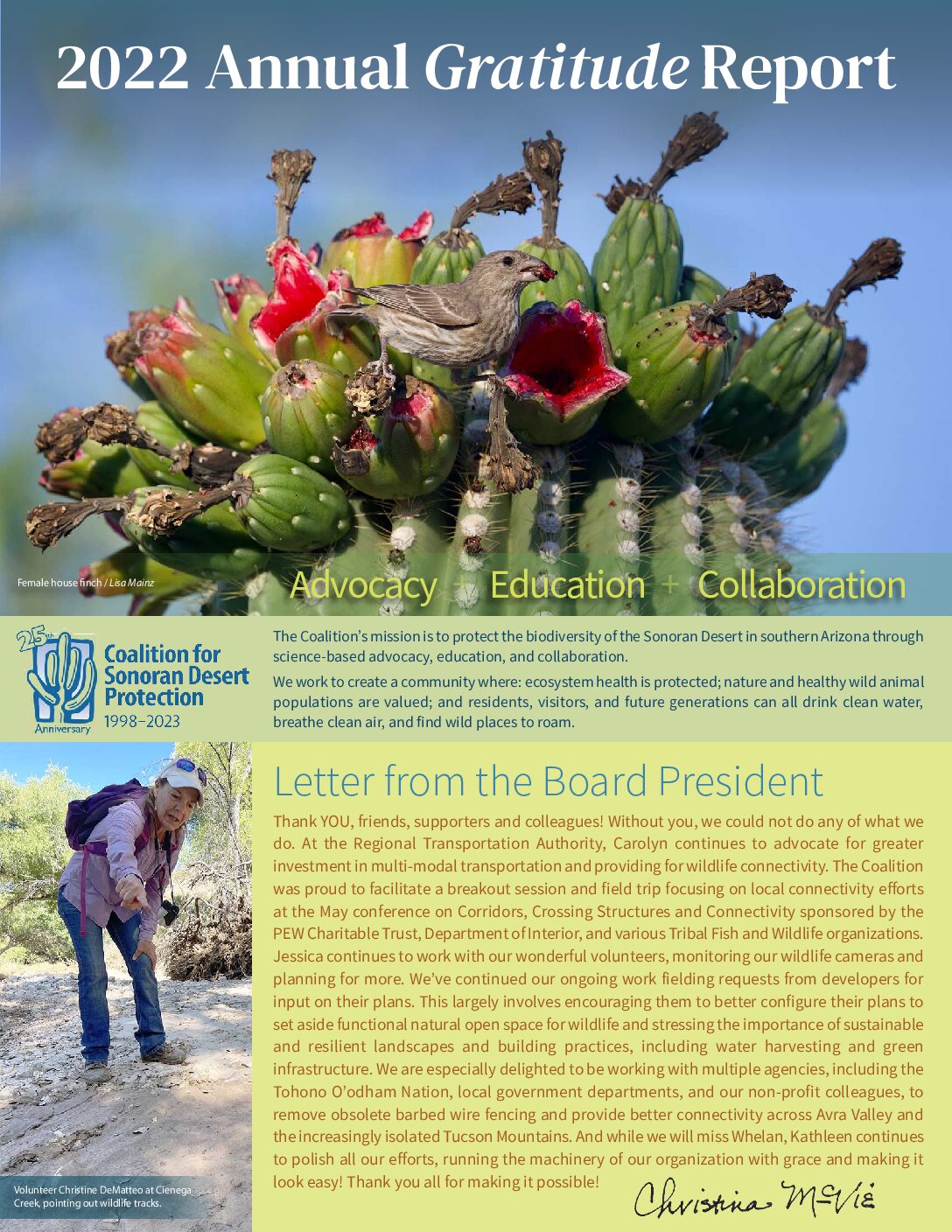 2022 CSDP Annual Report webfinal