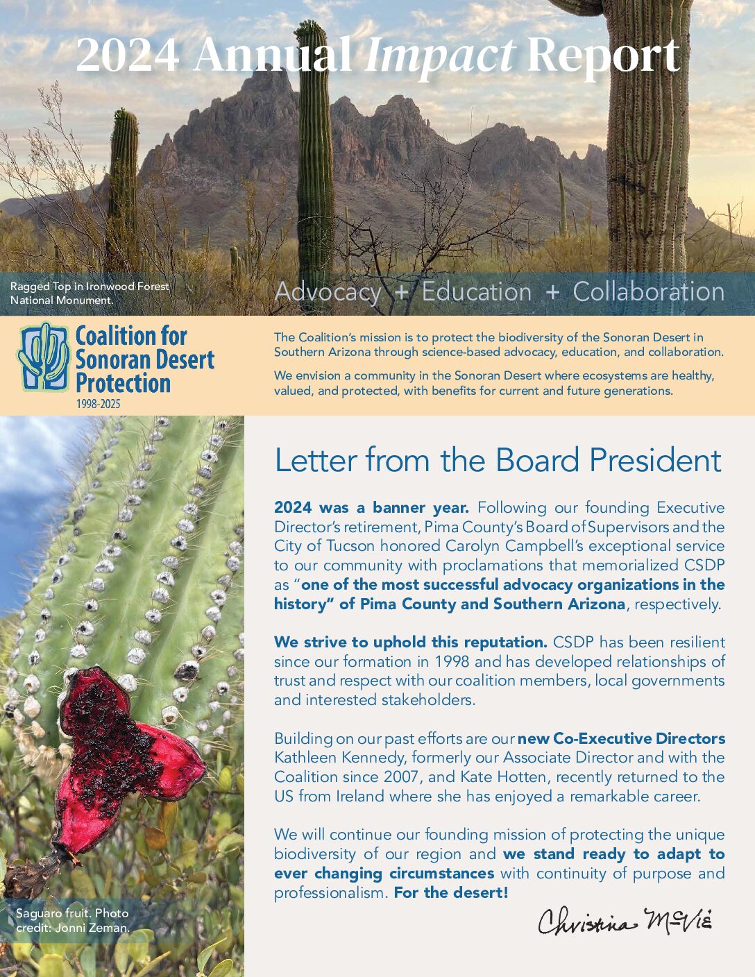 CSDP 2024 annual report