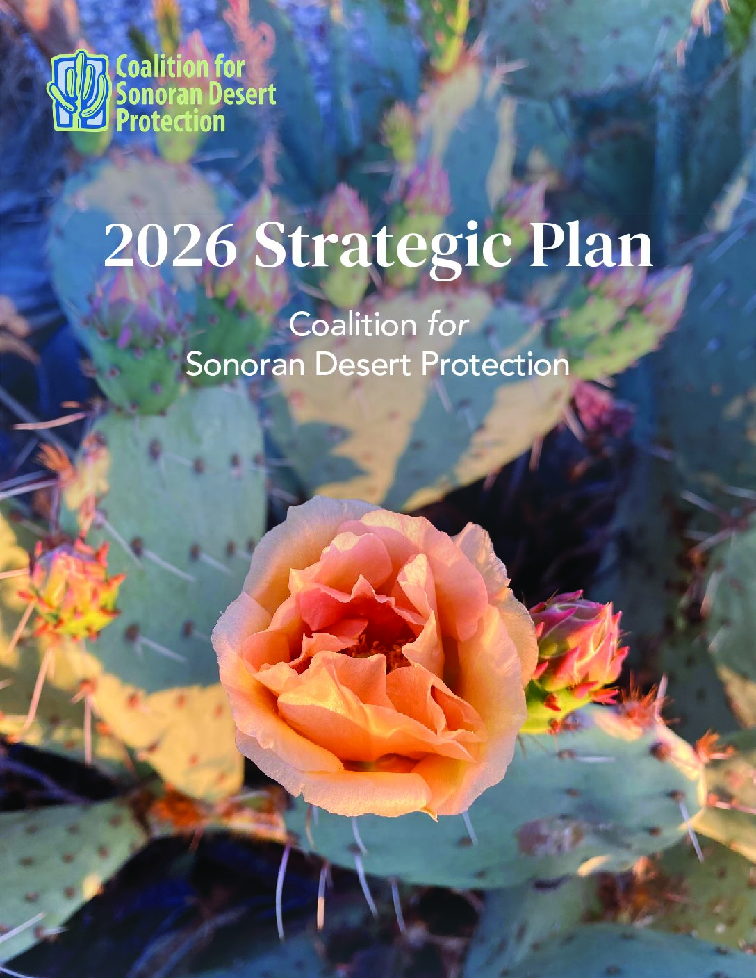 2026-CSDP-strategic-plan (2)