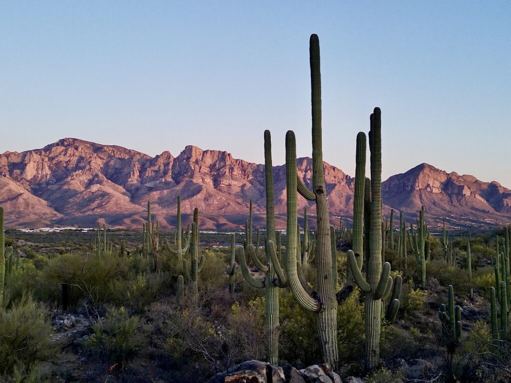 This image has an empty alt attribute; its file name is David-Pederson-Catalina-golden-hour-image0-8-1024x768.jpeg